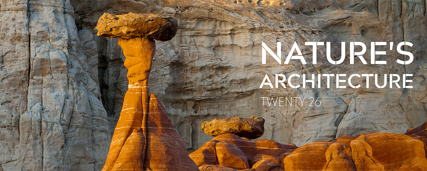 Nature's Architecture Desk Calendar