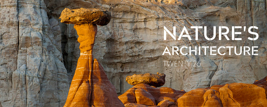 Nature's Architecture Desk Calendar