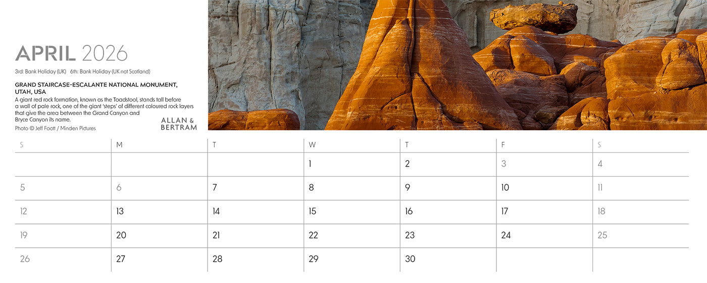 Nature's Architecture Desk Calendar