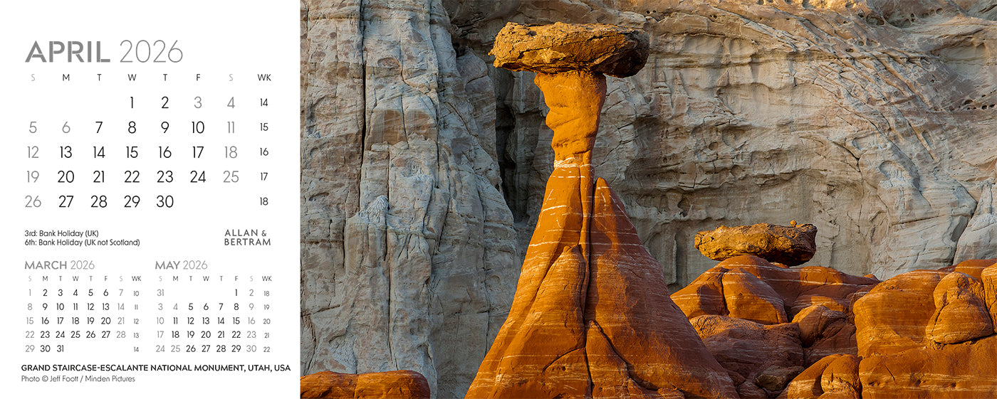 Nature's Architecture Desk Calendar