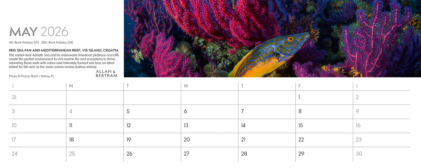 Nature's Architecture Desk Calendar