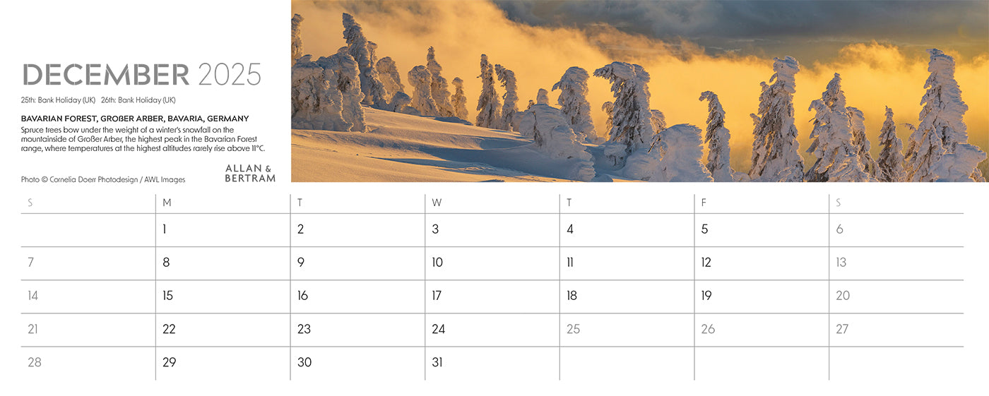 Nature's Architecture Desk Calendar