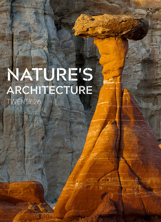 Nature's Architecture Junior Wall