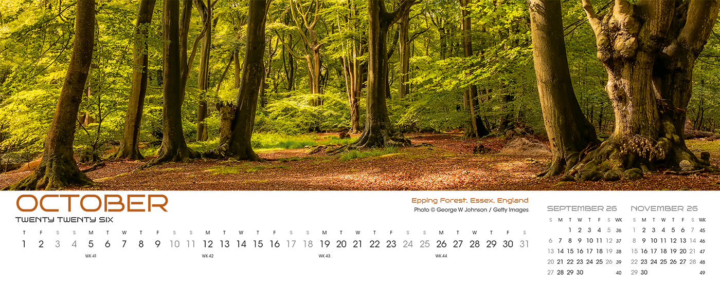 Panorama Desk Calendar