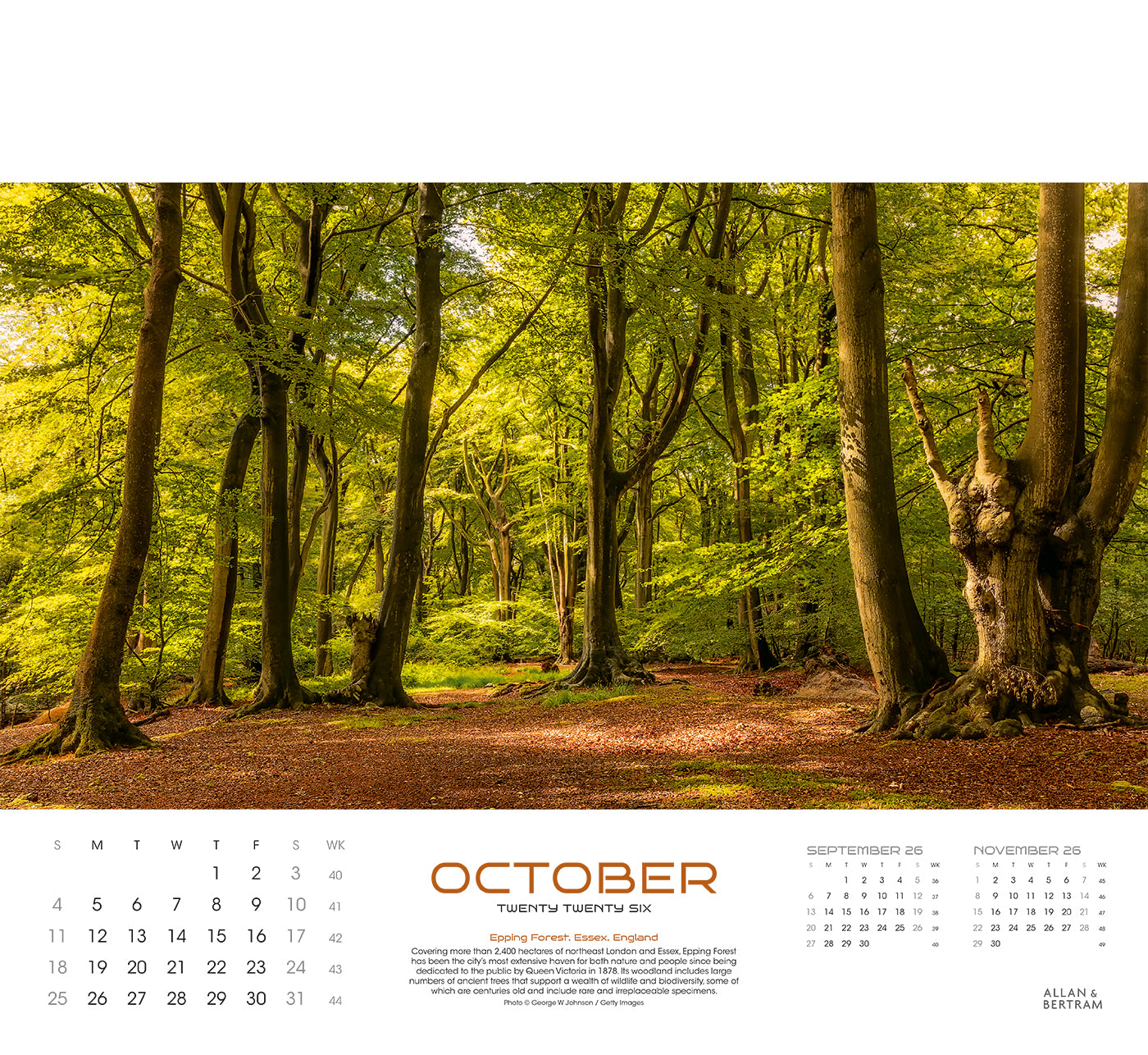 Panorama Wall Calendar