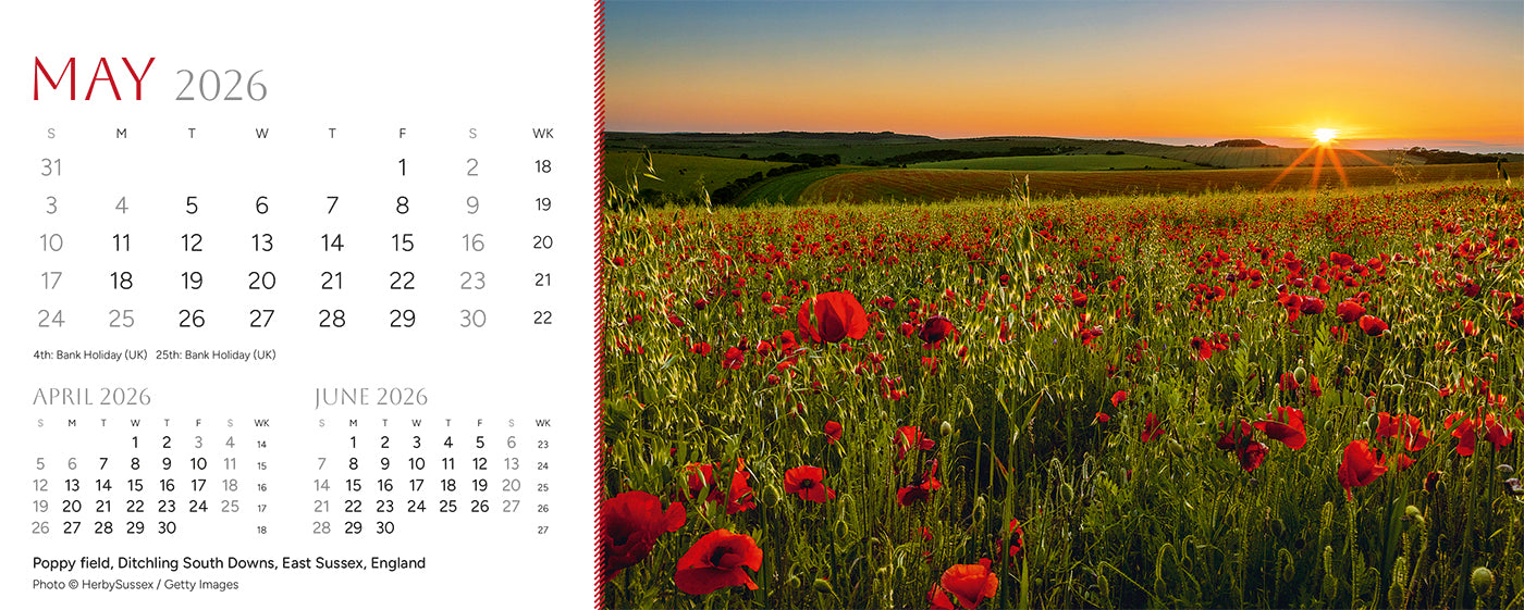 Point of View Desk Calendar