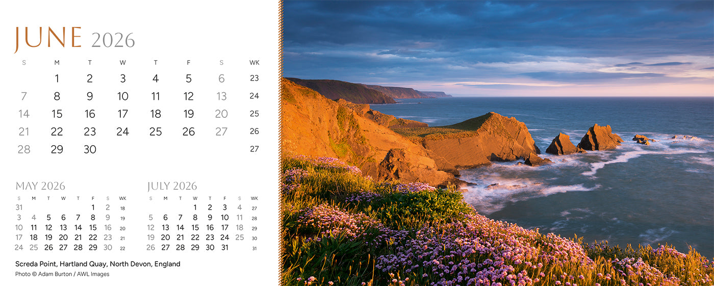 Point of View Desk Calendar