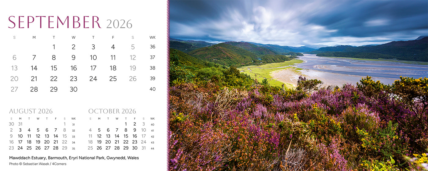 Point of View Desk Calendar