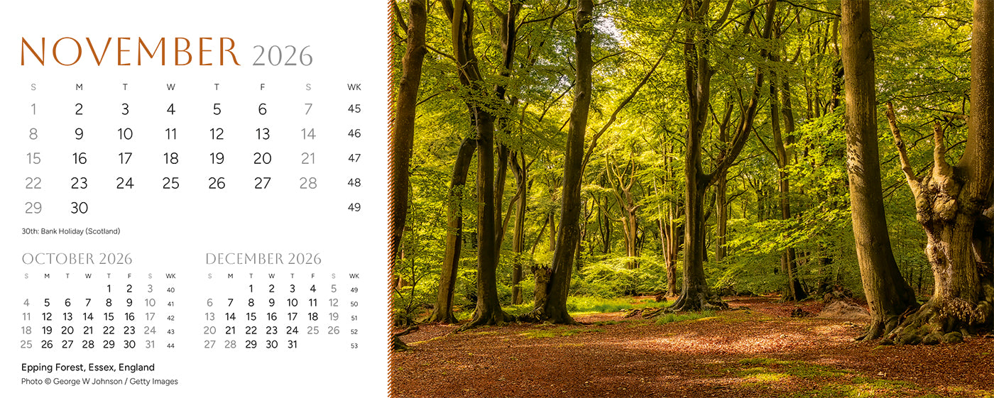 Point of View Desk Calendar