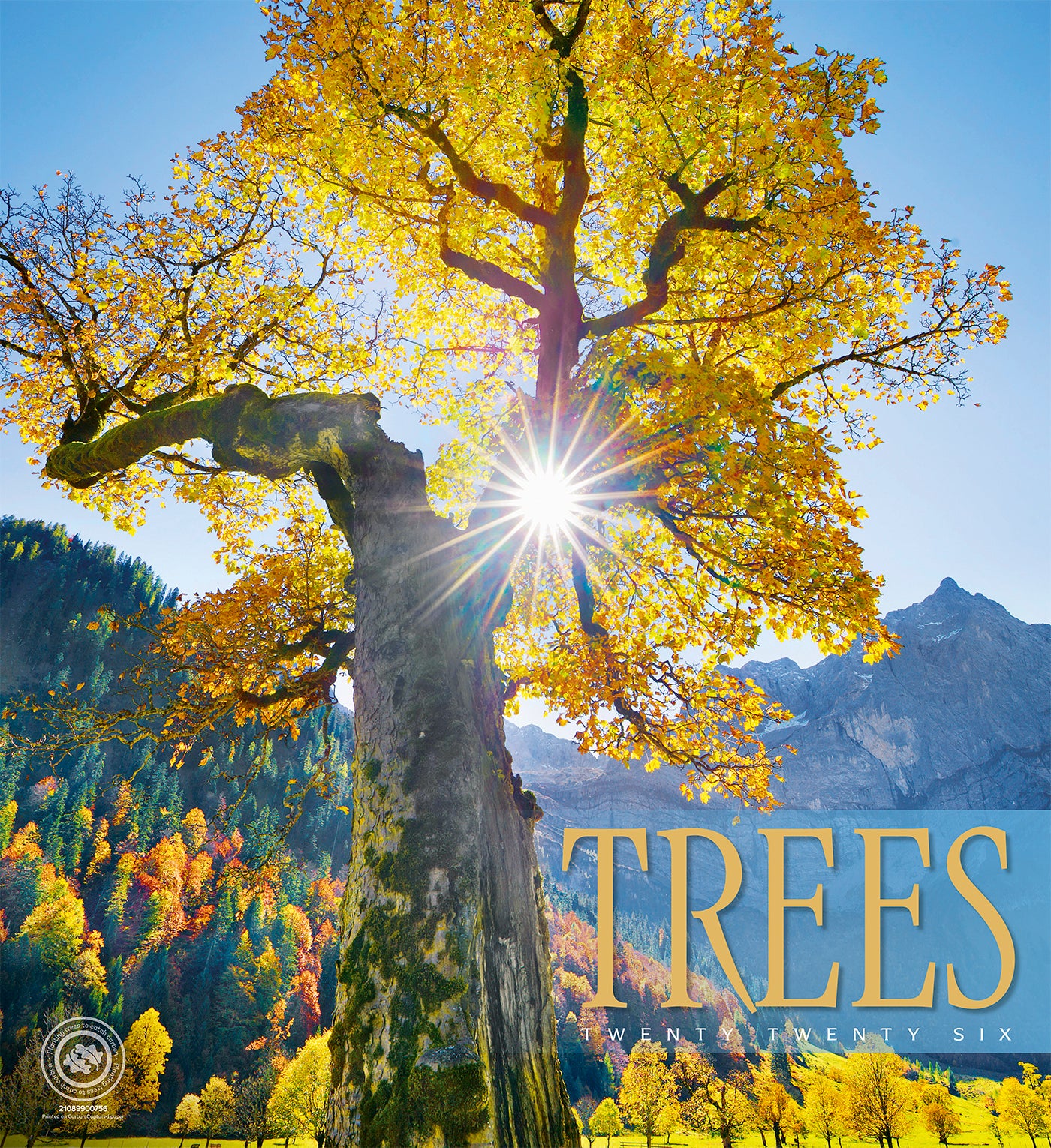 Trees Wall Calendar