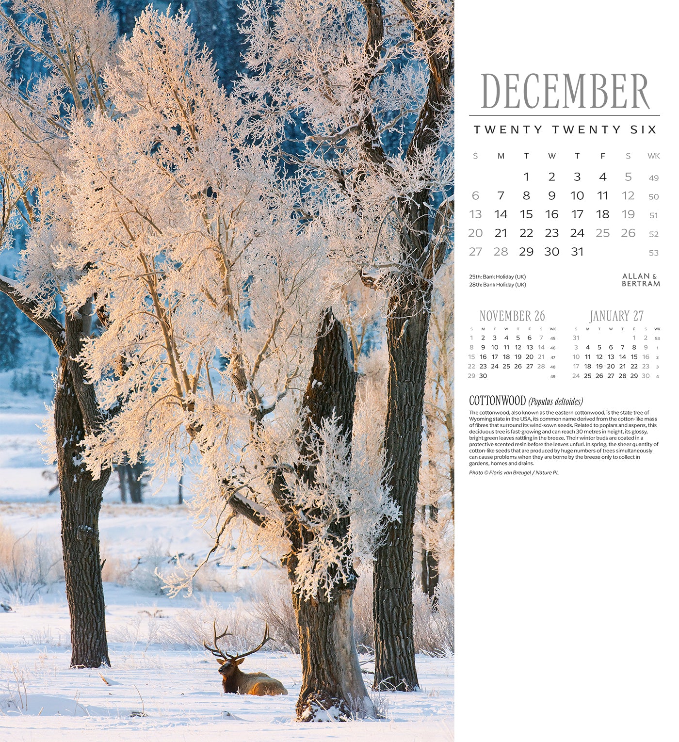 Trees Wall Calendar