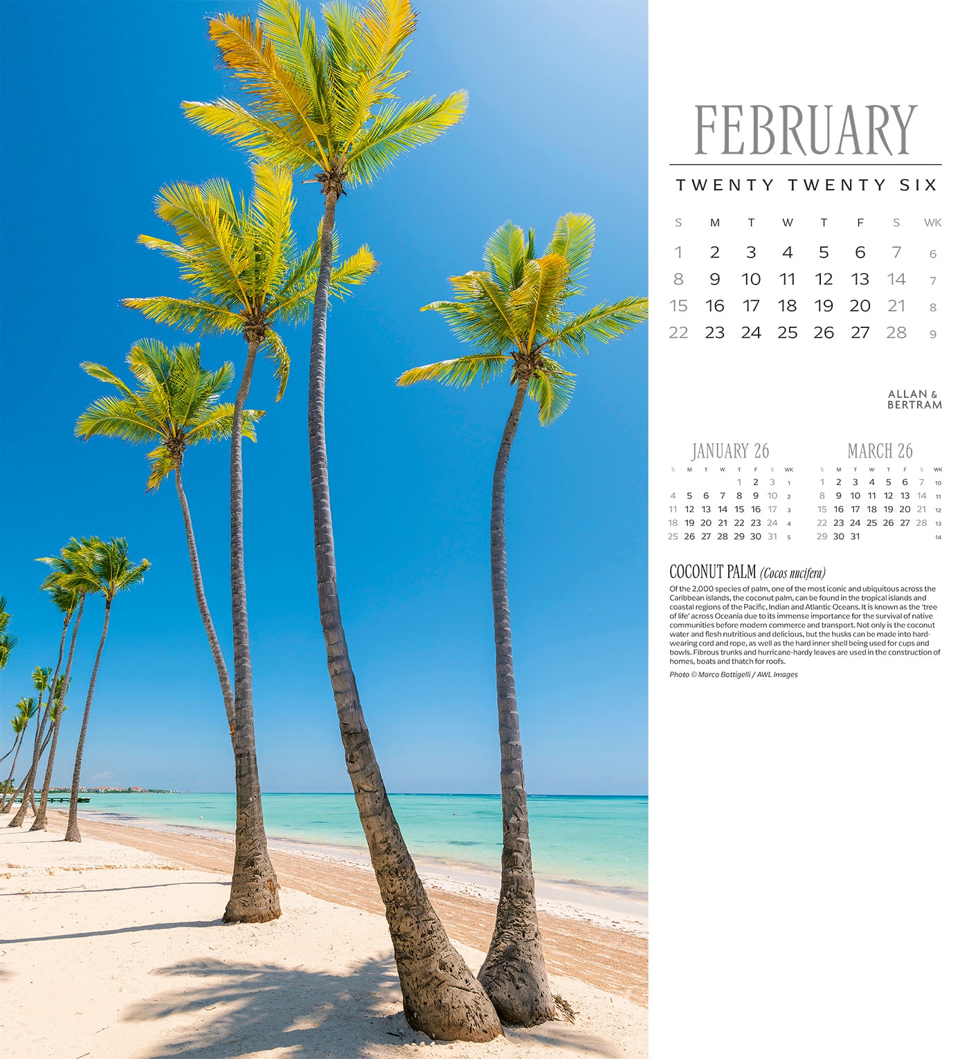 Trees Wall Calendar