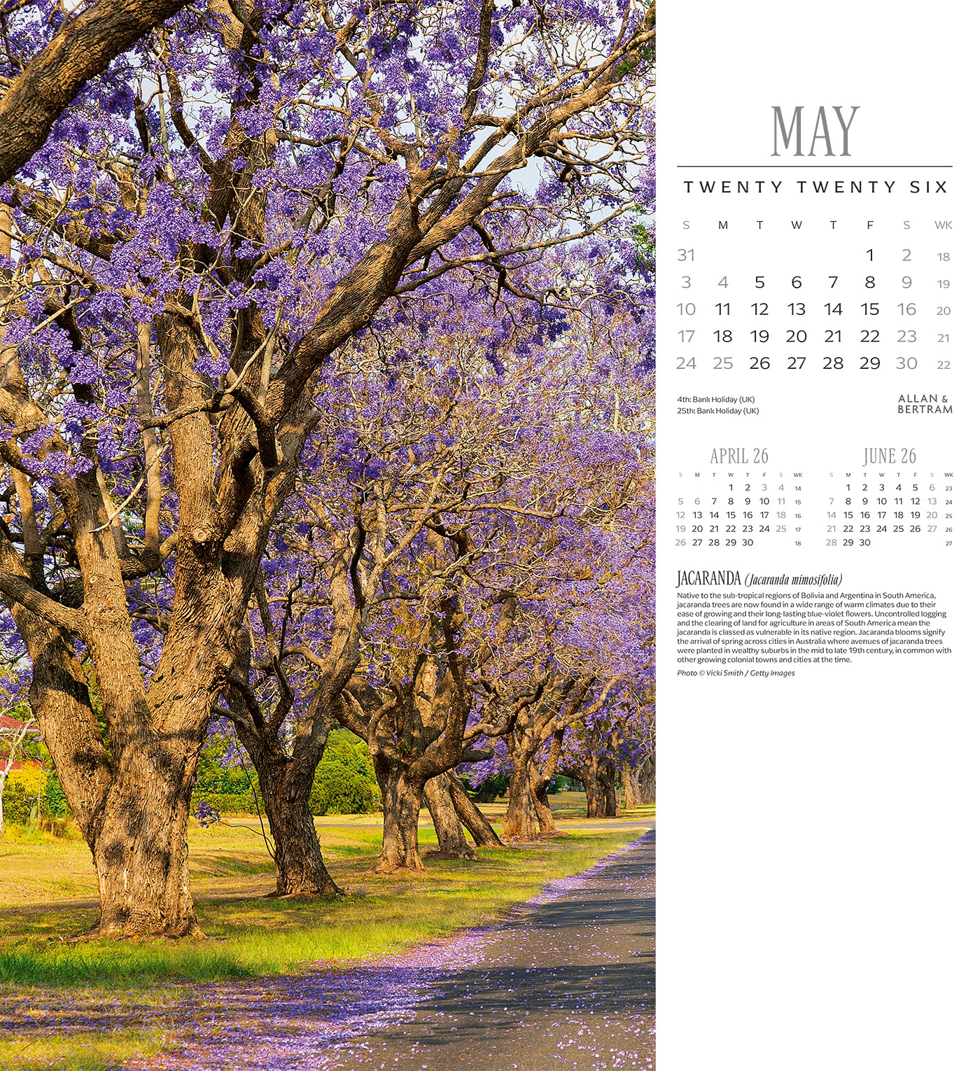 Trees Wall Calendar