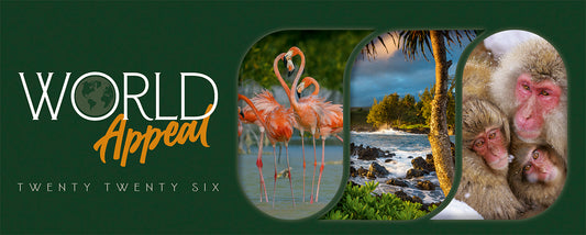 World Appeal Desk Calendar