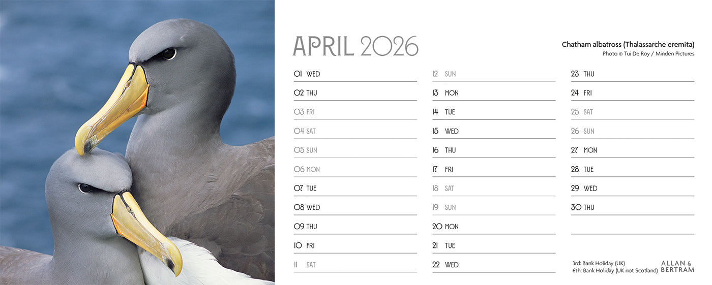 World Appeal Desk Calendar