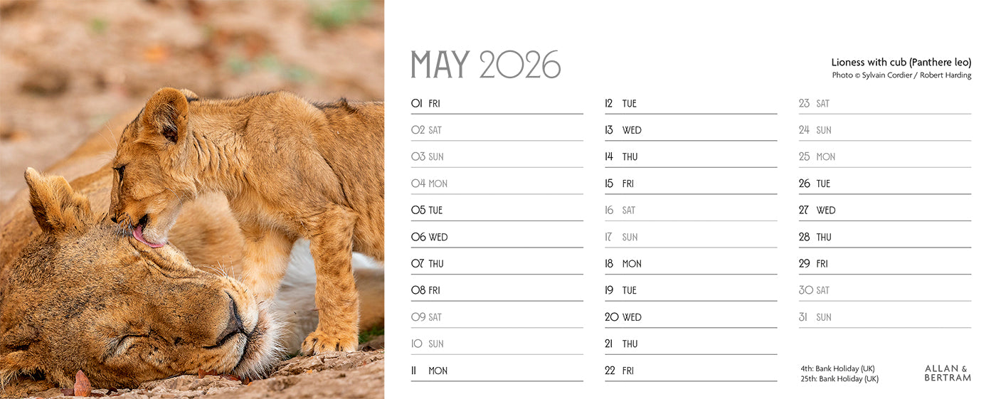 World Appeal Desk Calendar