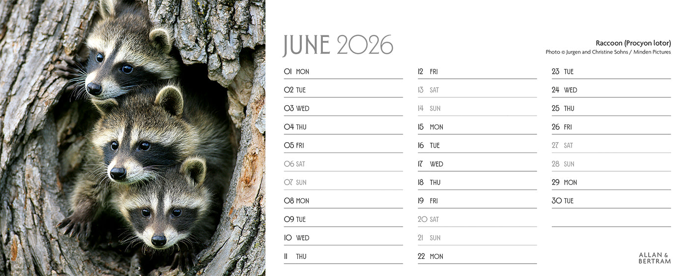 World Appeal Desk Calendar