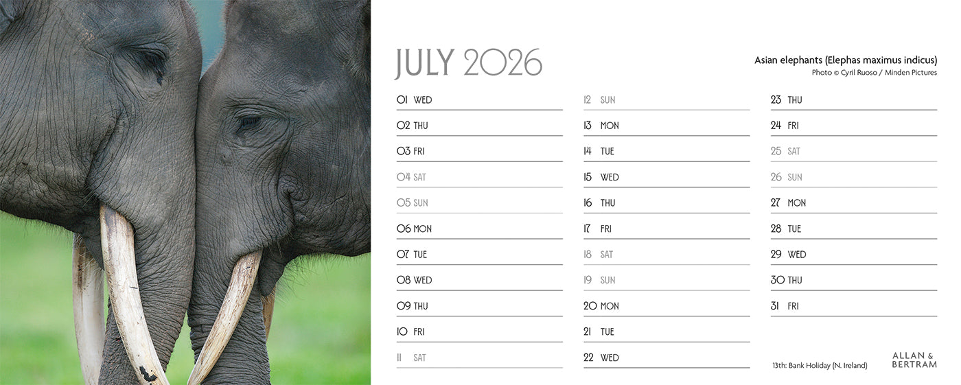 World Appeal Desk Calendar
