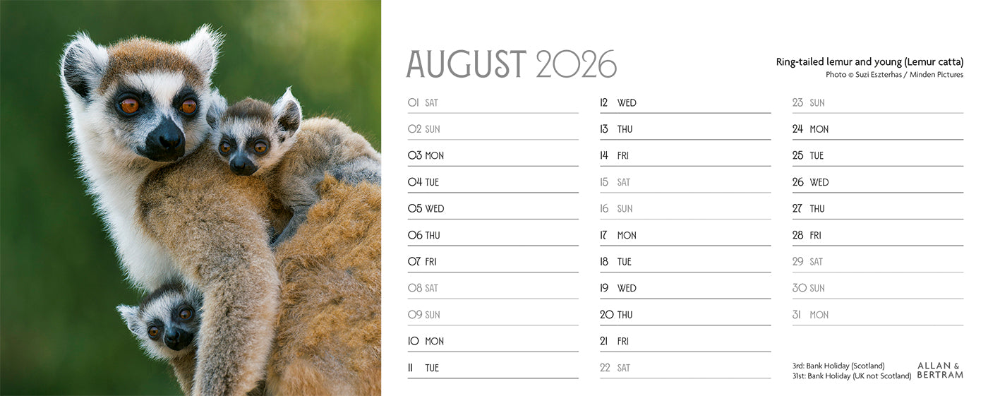 World Appeal Desk Calendar