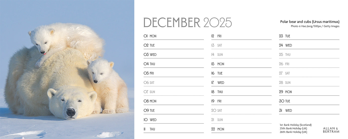 World Appeal Desk Calendar