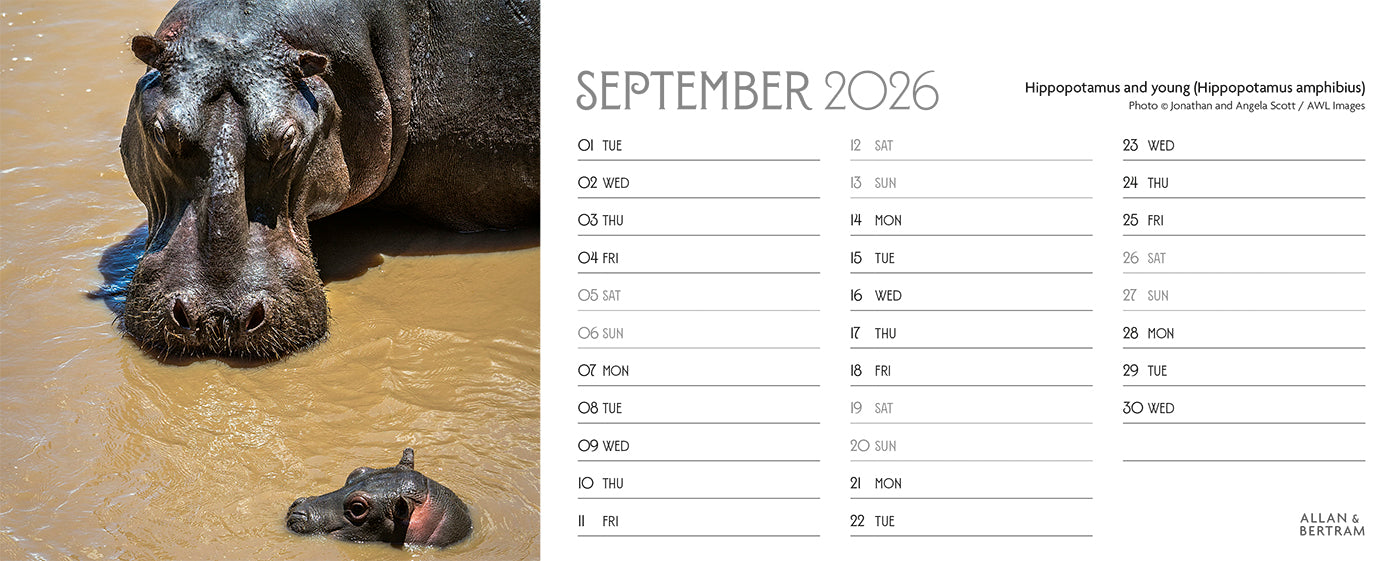 World Appeal Desk Calendar