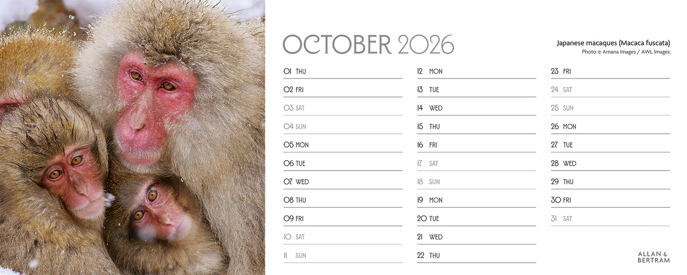 World Appeal Desk Calendar