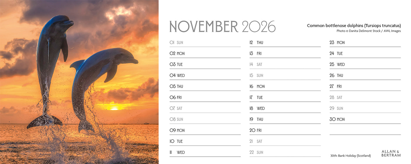 World Appeal Desk Calendar