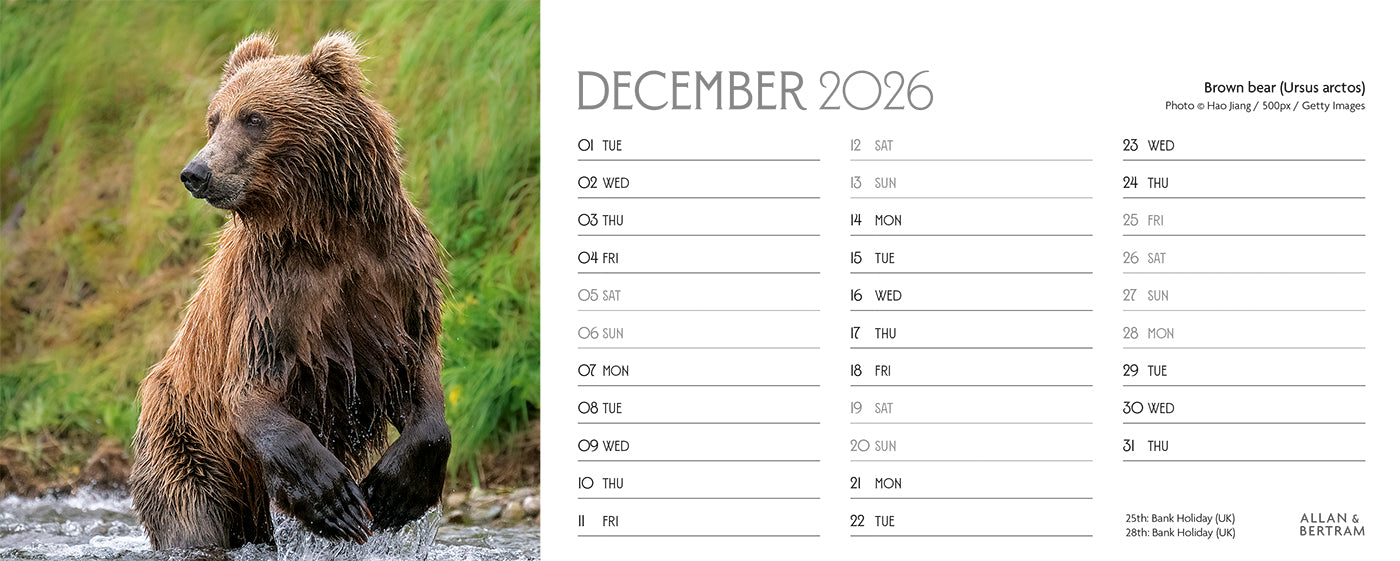World Appeal Desk Calendar