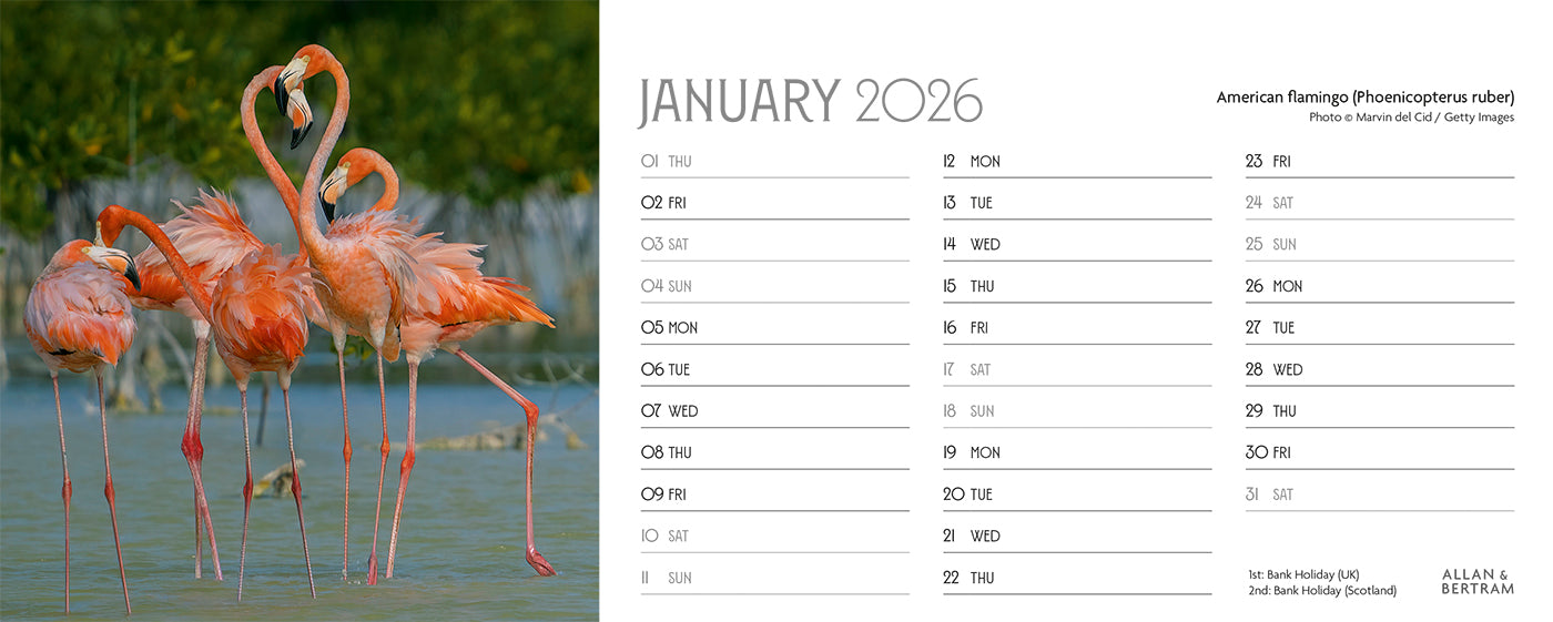 World Appeal Desk Calendar