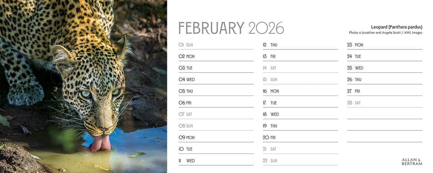 World Appeal Desk Calendar
