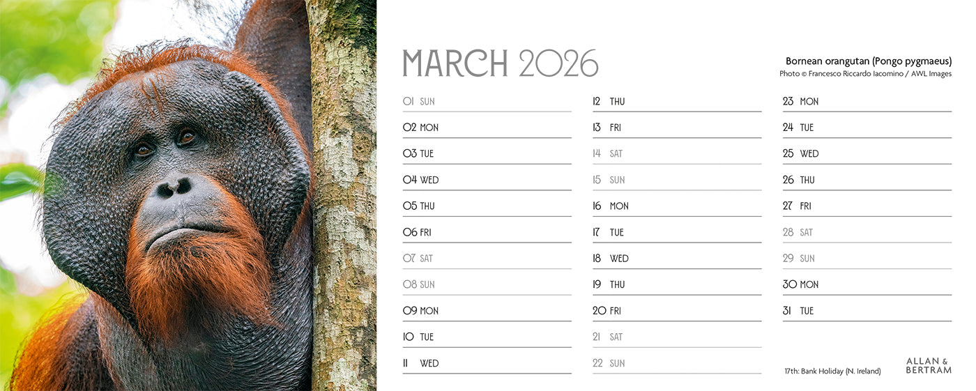 World Appeal Desk Calendar