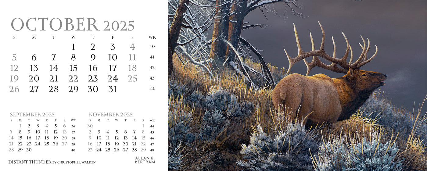 Call of the Wild Desk Calendar