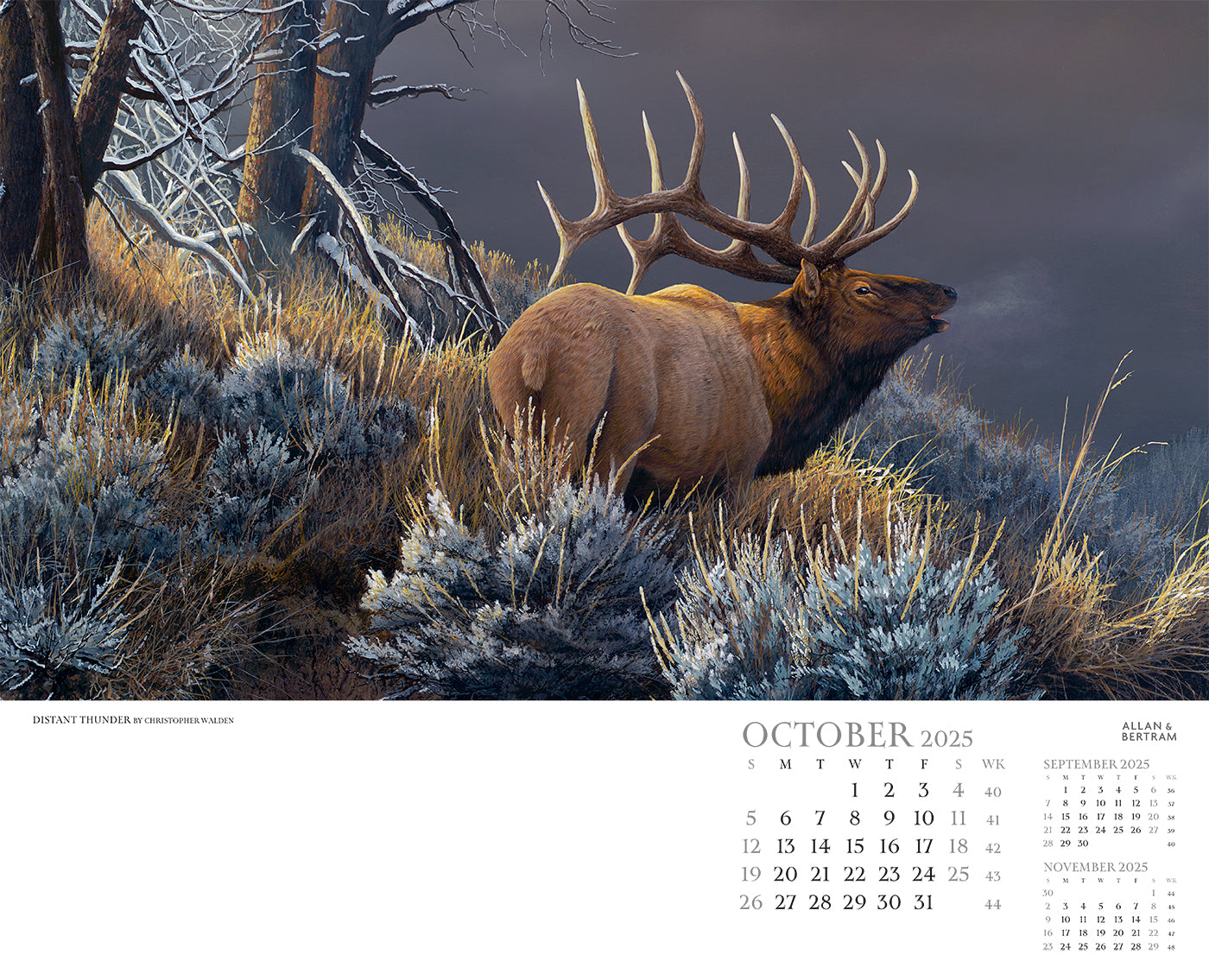 Call of the Wild Wall Calendar