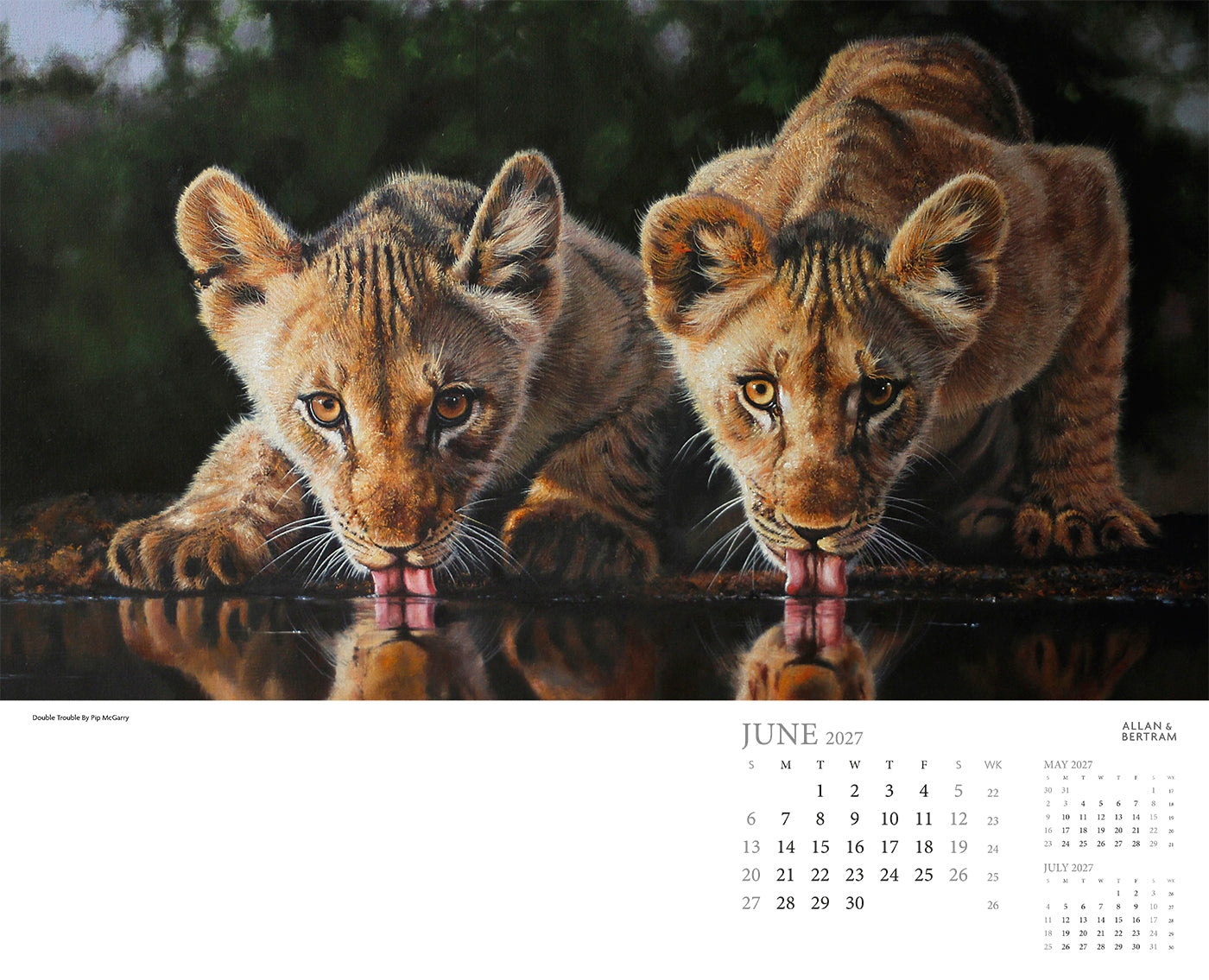 Call of the Wild Wall Calendar