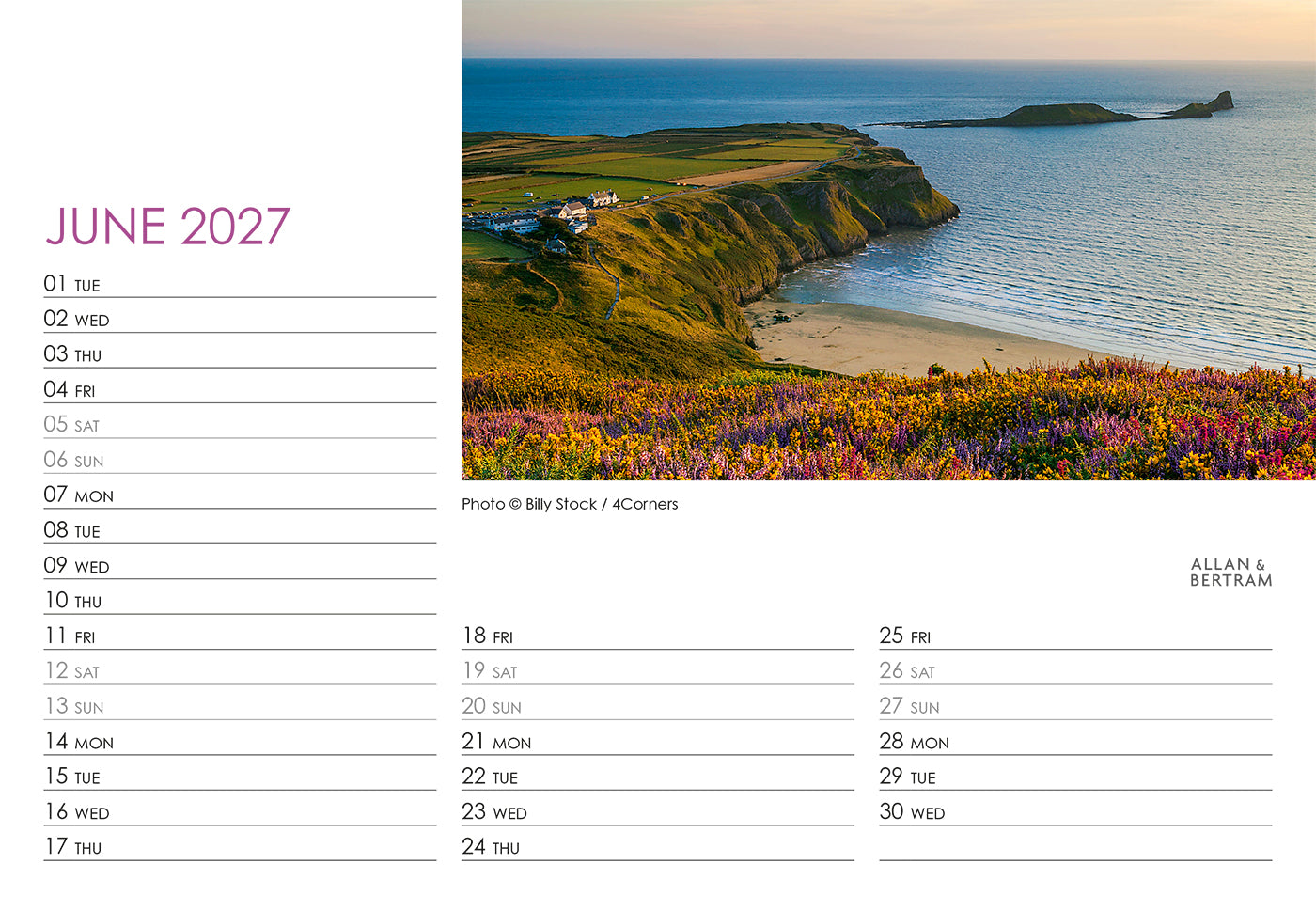 Coastal Path Midi Desk Calendar