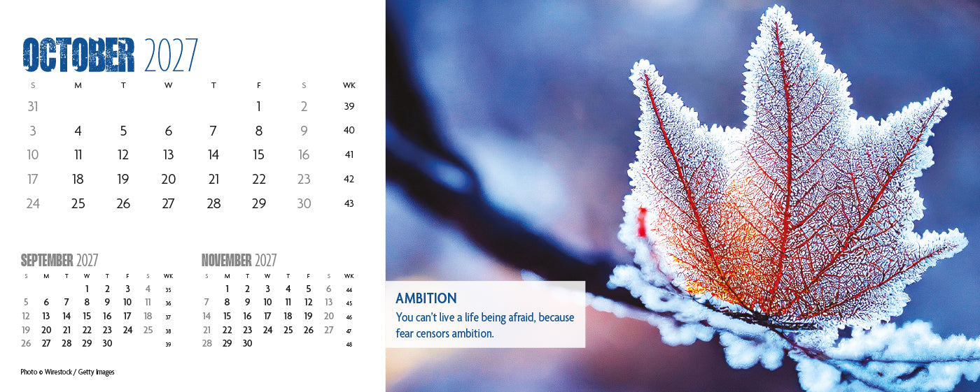 Earth Live Desk Calendar