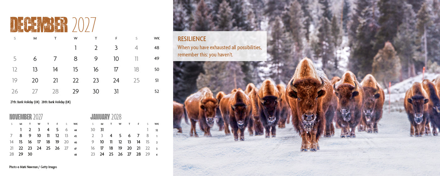 Earth Live Desk Calendar