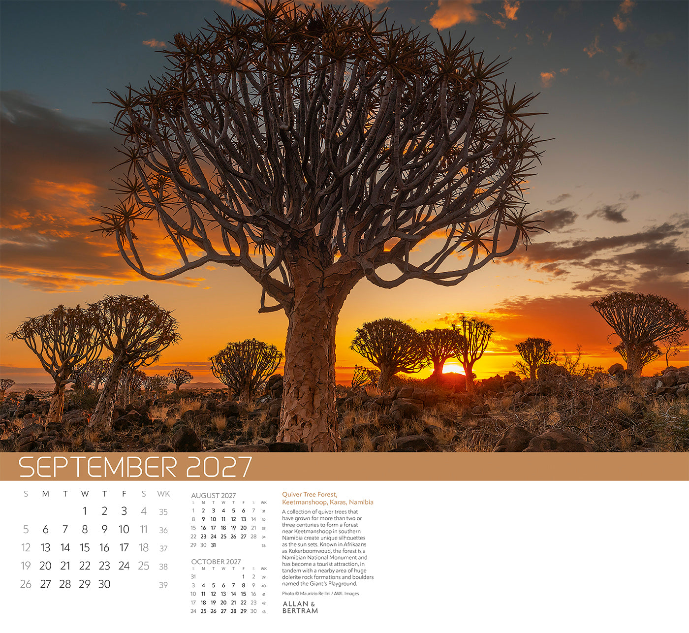 Explorer Wall Calendar
