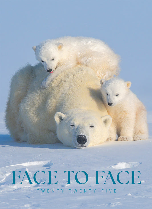 Face to Face Junior Wall Calendar