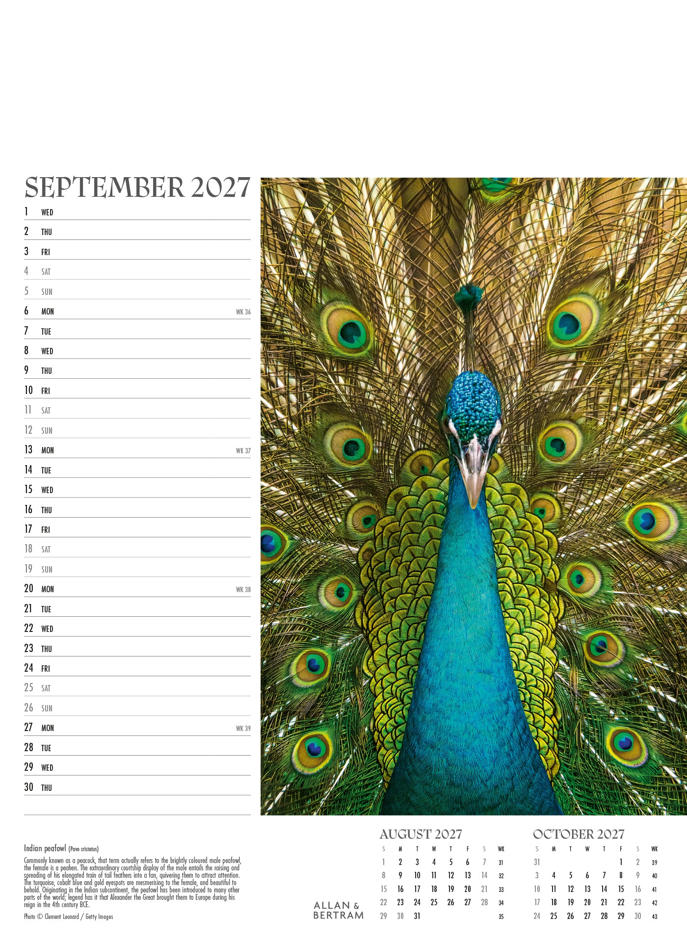 Face to Face Junior Wall Calendar