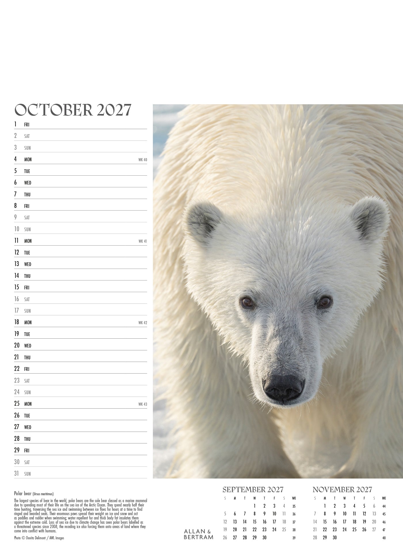 Face to Face Junior Wall Calendar