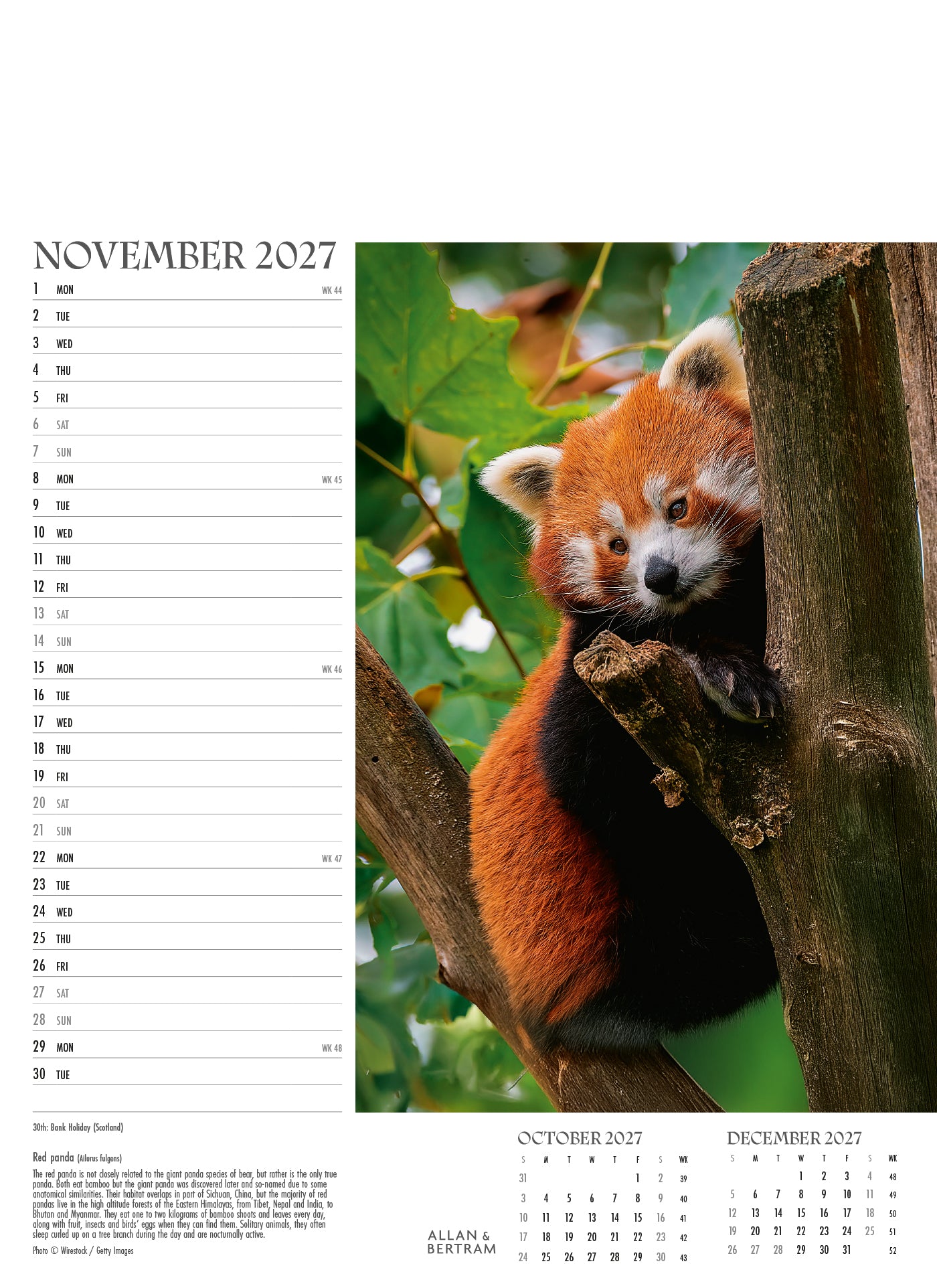 Face to Face Junior Wall Calendar