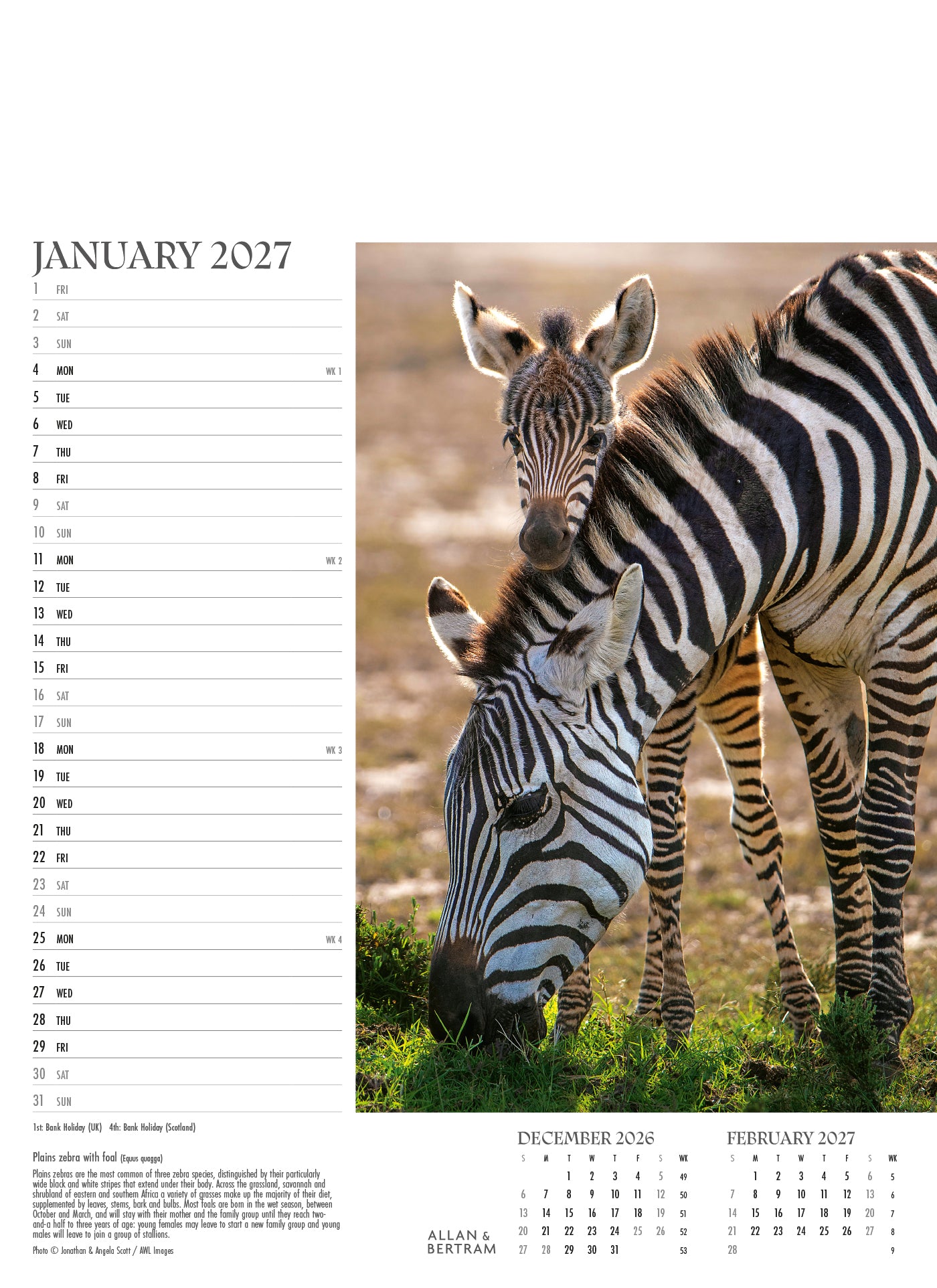 Face to Face Junior Wall Calendar