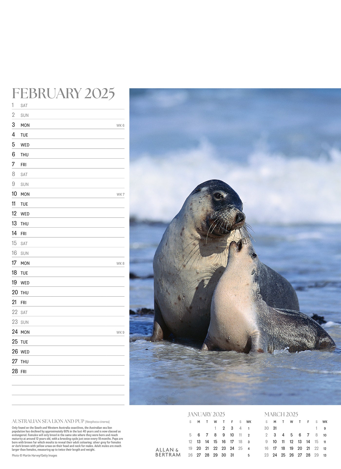 Face to Face Junior Wall Calendar