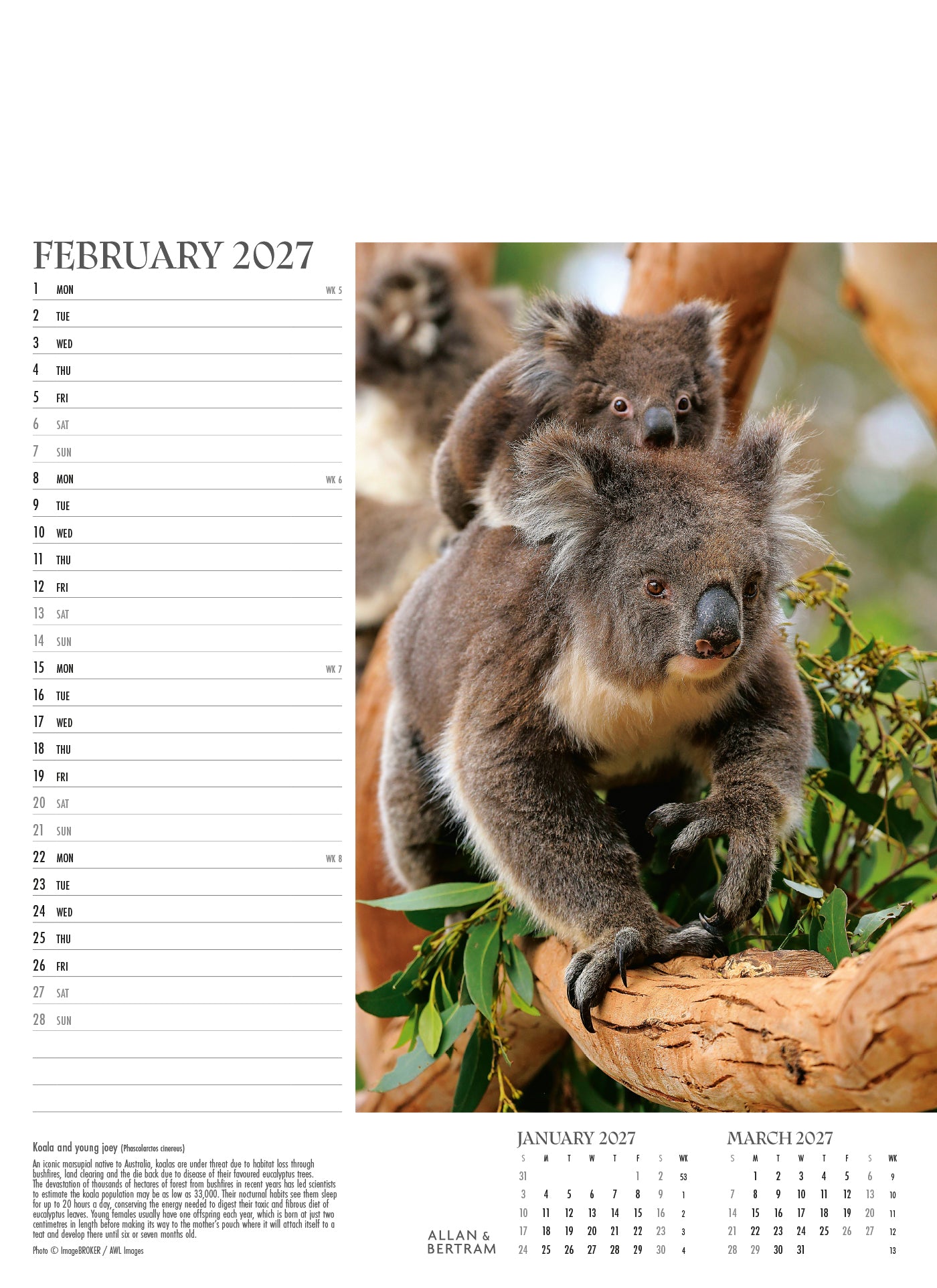 Face to Face Junior Wall Calendar