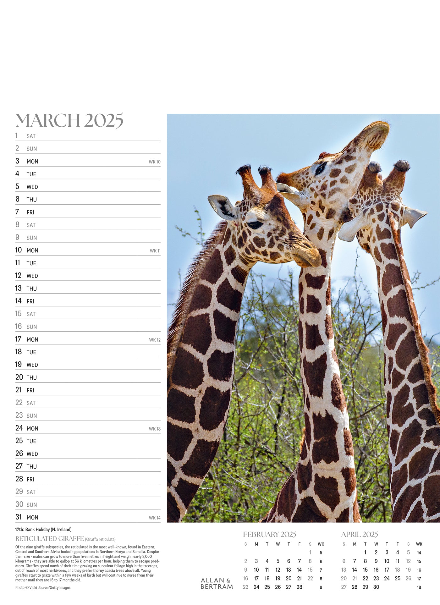 Face to Face Junior Wall Calendar