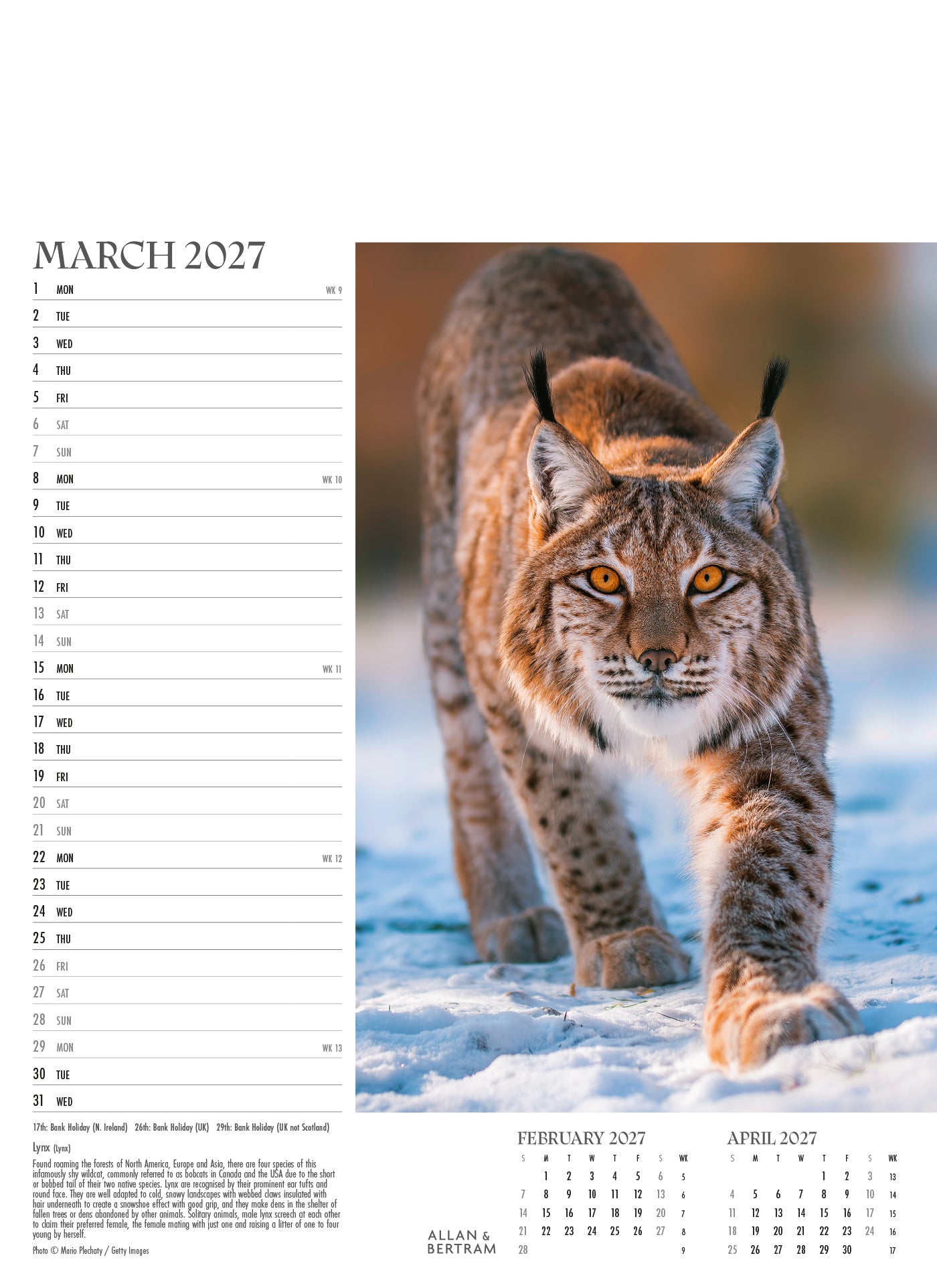 Face to Face Junior Wall Calendar