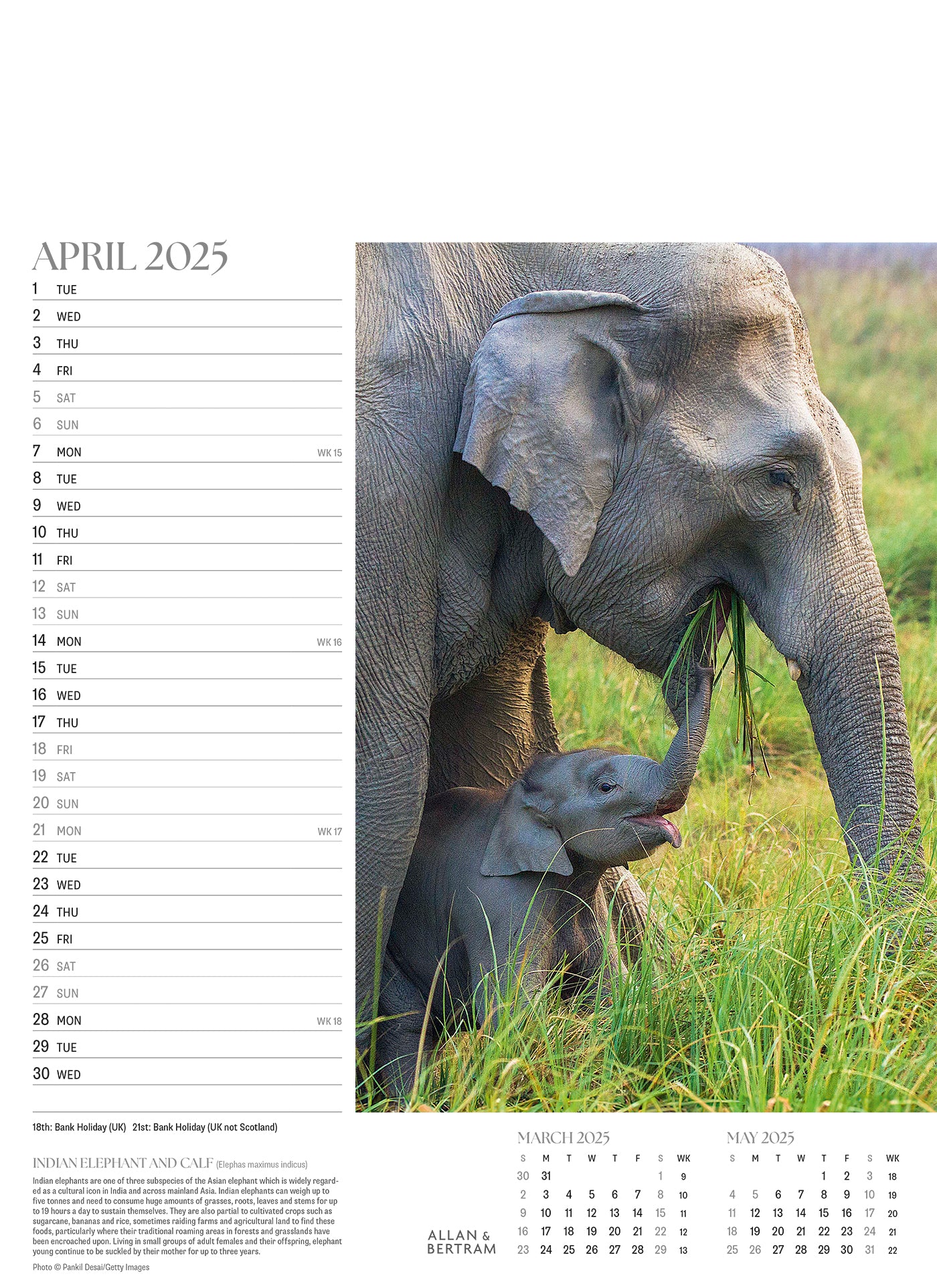 Face to Face Junior Wall Calendar