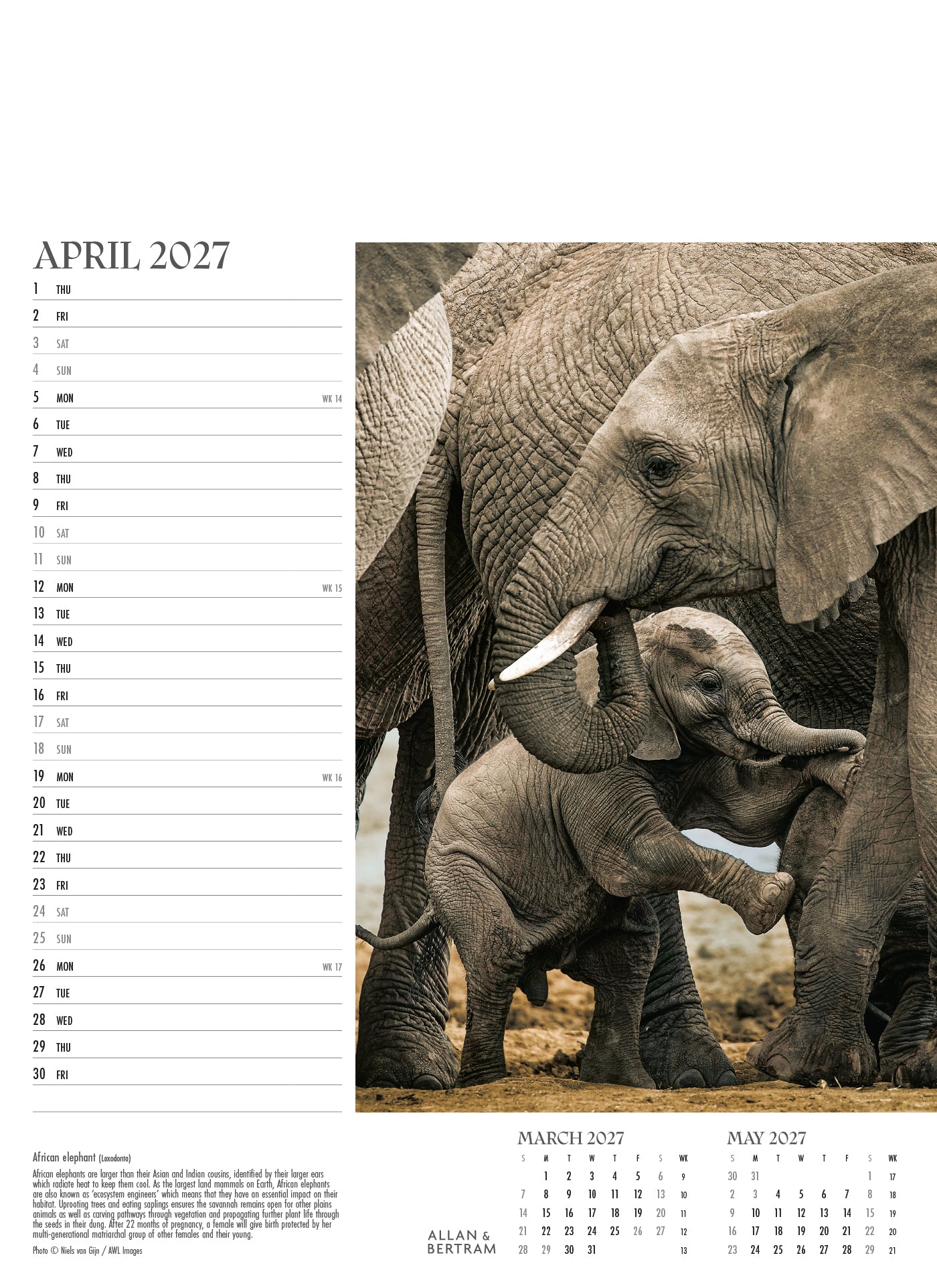 Face to Face Junior Wall Calendar