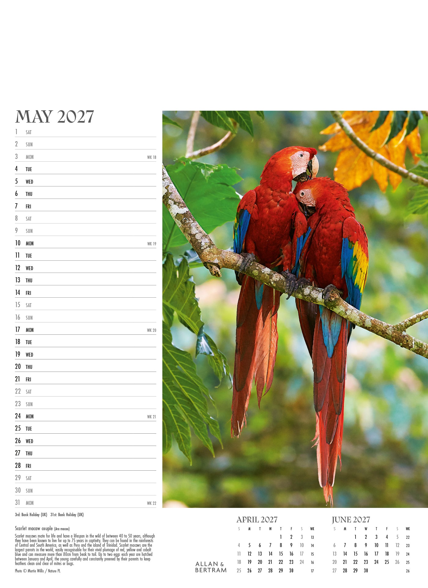 Face to Face Junior Wall Calendar